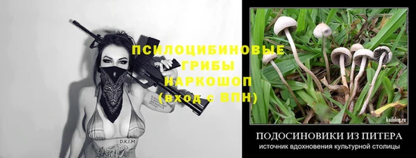 ешки Абдулино