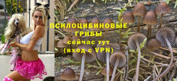 ешки Абдулино